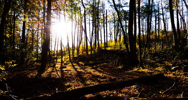 Mental Health Therapy in Westchester County, NY